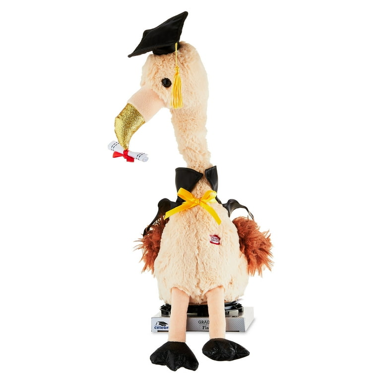 Graduation stuffed animal walmart hot sale