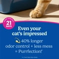 thumbnail image 4 of Fresh Step Clean Paws Multi Cat Clumping Litter, Febreze Freshness, 38 lb Total, Easy Pour Pouches (4 Pack), 4 of 21