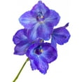 thumbnail image 2 of Delphinium Wall Mural Decal by Wallmonkeys Vinyl Peel and Stick Graphic (18 in H x 13 in W), 2 of 4