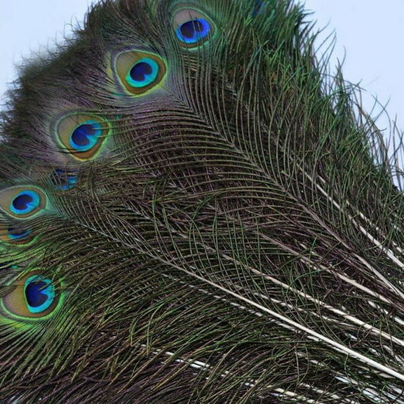 Lots 10PCS Natural Real Peacock Tail Eye Feathers DIY Crafts23-30cm/10-12Inches