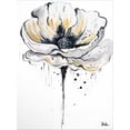 thumbnail image 2 of Art.com Black and White Poppies II Stretched Canvas Print Wall Art by Patricia Pinto, 24" x 32", 2 of 4