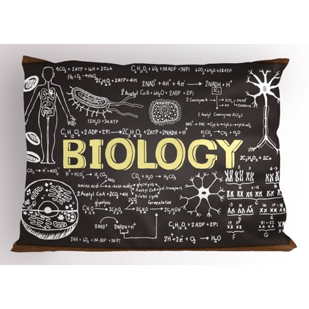 Decorative Symbols Educational Pillow Sham Black Chalkboard Biology Hand Written Symbols School Classroom, Decorative Standard Size Printed Pillowcase, 26 X 20 Inches, Black Brown Pale Yellow, by Ambesonne ()