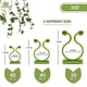 thumbnail image 2 of Paquete de 30 Clips de entrenamiento de tallos de plantas para entrenamiento de bajo estrés y entrenamiento de flexión de crecimiento de plantas, Clips de flexión de tren de plantas, 2 of 5