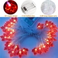 thumbnail image 3 of kurtrusly 3D Thanksgiving Decorations Maple Lights 3 Meters 30 LED String Lights Battery Operated Autumn Garland Harvest Home Decorations, 3 of 8