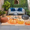 thumbnail image 2 of Orange Fall Pumpkin Outdoor Rug for Patio/Deck/Porch, Non-Slip Large Area Rug 5 x 7 Ft, Thanksgiving Botanical Leaves Retro Indoor Outdoor Rugs Washable Area Rugs, Camping Rug Carpet Runner, 2 of 8