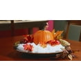 thumbnail image 3 of JRM Chemical SR-05 Snow Real 5 lb pail Instant Decorative Snow, 3 of 3