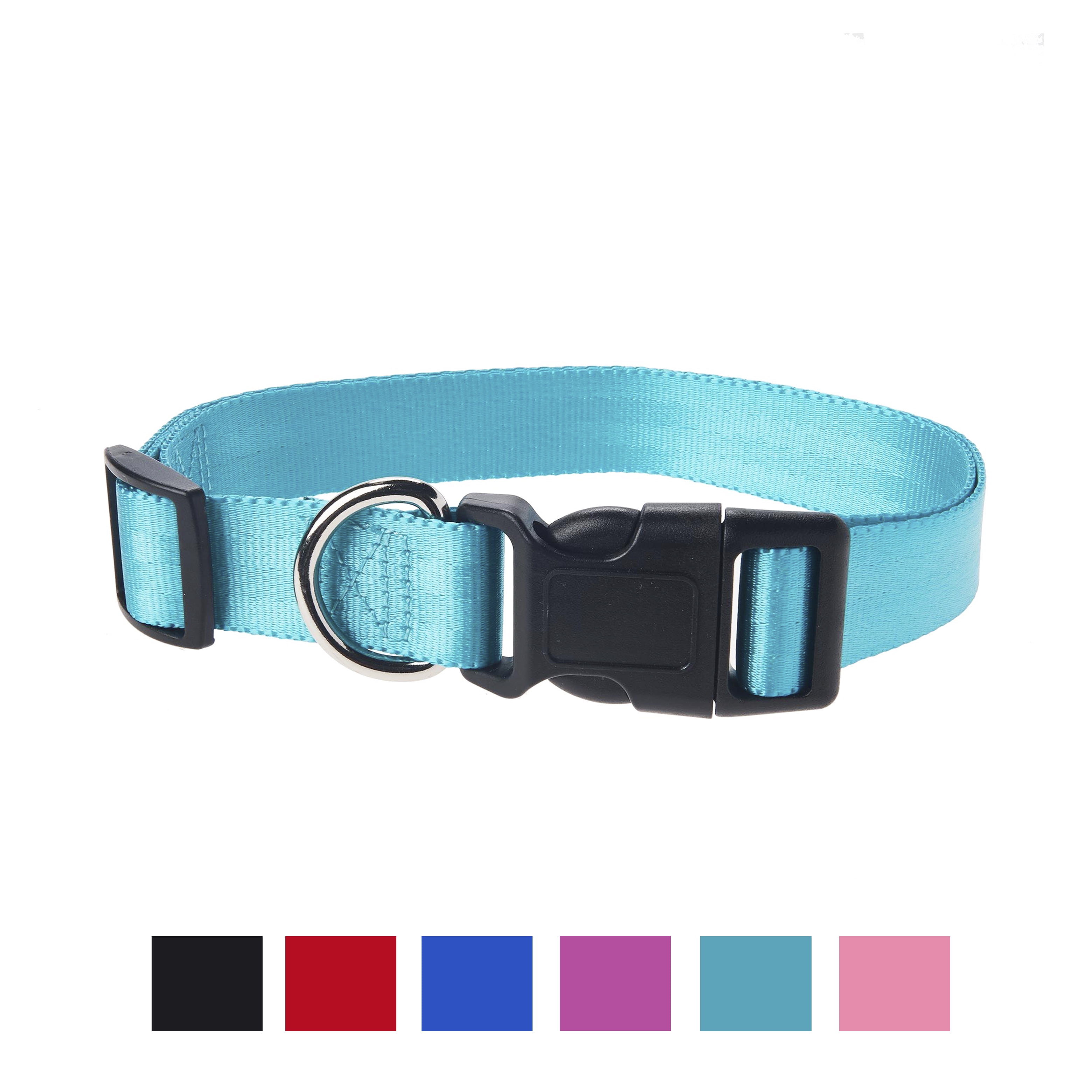 teal dog collar