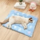 thumbnail image 4 of Alfombra de terciopelo multicolor para perros y gatos | 30 x 40 cm, suave poliéster | Antideslizante, lavable, cómoda para todo tipo de clima | Cama para mascotas de interior, 4 of 6