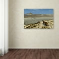thumbnail image 3 of Tiger On The Watch' Canvas Art by Gerome, 3 of 3