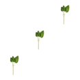 thumbnail image 2 of Cateissary Plantas de hojas de palma artificiales de PU - Decoración no tóxica para cualquier ocasión Cómodo al tacto Asarum máximo Type1 NO1, 2 of 6