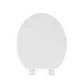 FBJ Round Plastic Toilet Seat Soft Close No Slam, White