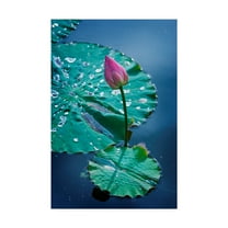 Trademark Fine Art 'Circle Seven' Canvas Art by Philippe Sainte-Laudy