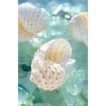 thumbnail image 2 of Crystal Harbor 6, Stretched Canvas Wall Art by Alan Blaustein Sold by Art.Com, 2 of 5