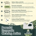 thumbnail image 2 of Sprinkle & Sweep: Enzyme Carpet Shampoo - 32oz, Deep Cleaning Pet Stain & Odor Remover, Dog & Cat Mess-Urine-Accident Solution, All Machine Compatible, 2 of 9