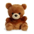 thumbnail image 1 of Aurora - Palm Pals - 5" Artie Bear, 1 of 3