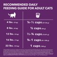 thumbnail image 4 of Iams Advanced Health Healthy Digestion Turkey & Chicken Adult Dry Cat Food 7.26kg, 4 of 9