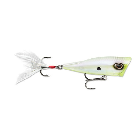 Arashi Cover Pop Hard Bait Lure