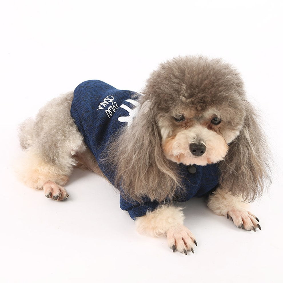 puppy outfits
