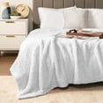 thumbnail image 5 of PAVILIA Sherpa Throw Blanket For Couch Sofa, White Fluffy Warm Plush Blanket for Twin Bed, Cozy Super Soft Lightweight Throw, Fuzzy Decorative Blanket, All Season Home, 60x80, 5 of 9