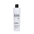 thumbnail image 1 of Inebrya Black Pepper Iron Shampoo - 10.14 oz, 1 of 1
