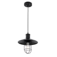 thumbnail image 4 of Living District LD7505BK Flaneur 1 Light Black Ceiling Pendant, 4 of 4
