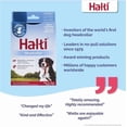 thumbnail image 4 of Halti Nylon Padded No Pull Dog Headcollar, Red, Size 4, 4 of 5