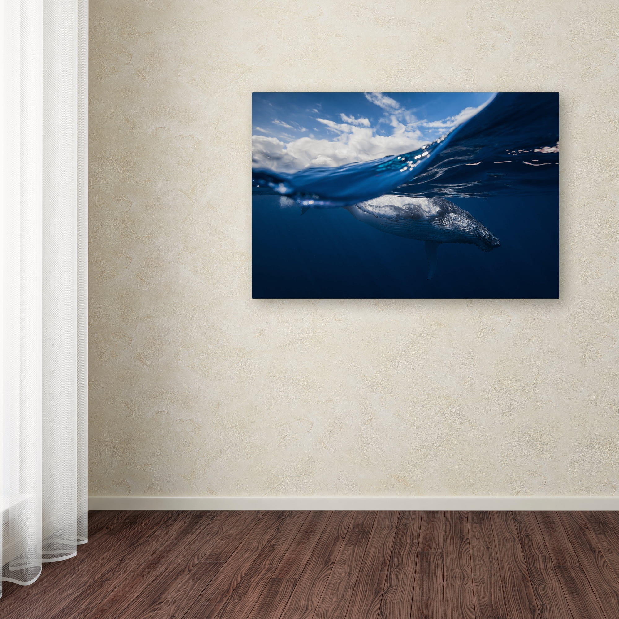 Trademark Fine Art 'Humpback Whale And The Sky' Canvas Art by Barathieu Gabriel
