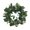 Green C, variant on Artificial Christmas Wreath Ring With Red Berries And Pinecones Plastic Home Door Decoration 13.4 Inch 1 Pack