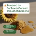 thumbnail image 2 of NatureBell Phosphatidylserine 500mg - 240 Capsules - Brain Health Support for Men & Women - Bioavailable Sunflower Lecithin - Easy-to-Swallow Supplement - Gluten-Free - 80 Servings, 2 of 8