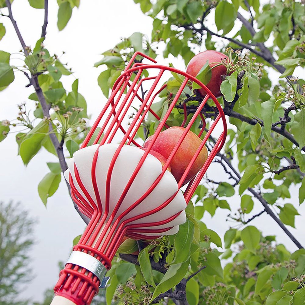 Cueilleur De Fruits Avec Panier - Outil Récolte Pour Arbres, Métal Et Nylon, Longueur 24 Cm