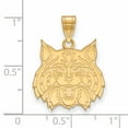 thumbnail image 3 of Arizona Large (3/4 Inch) Pendant (14k Yellow Gold), 3 of 4