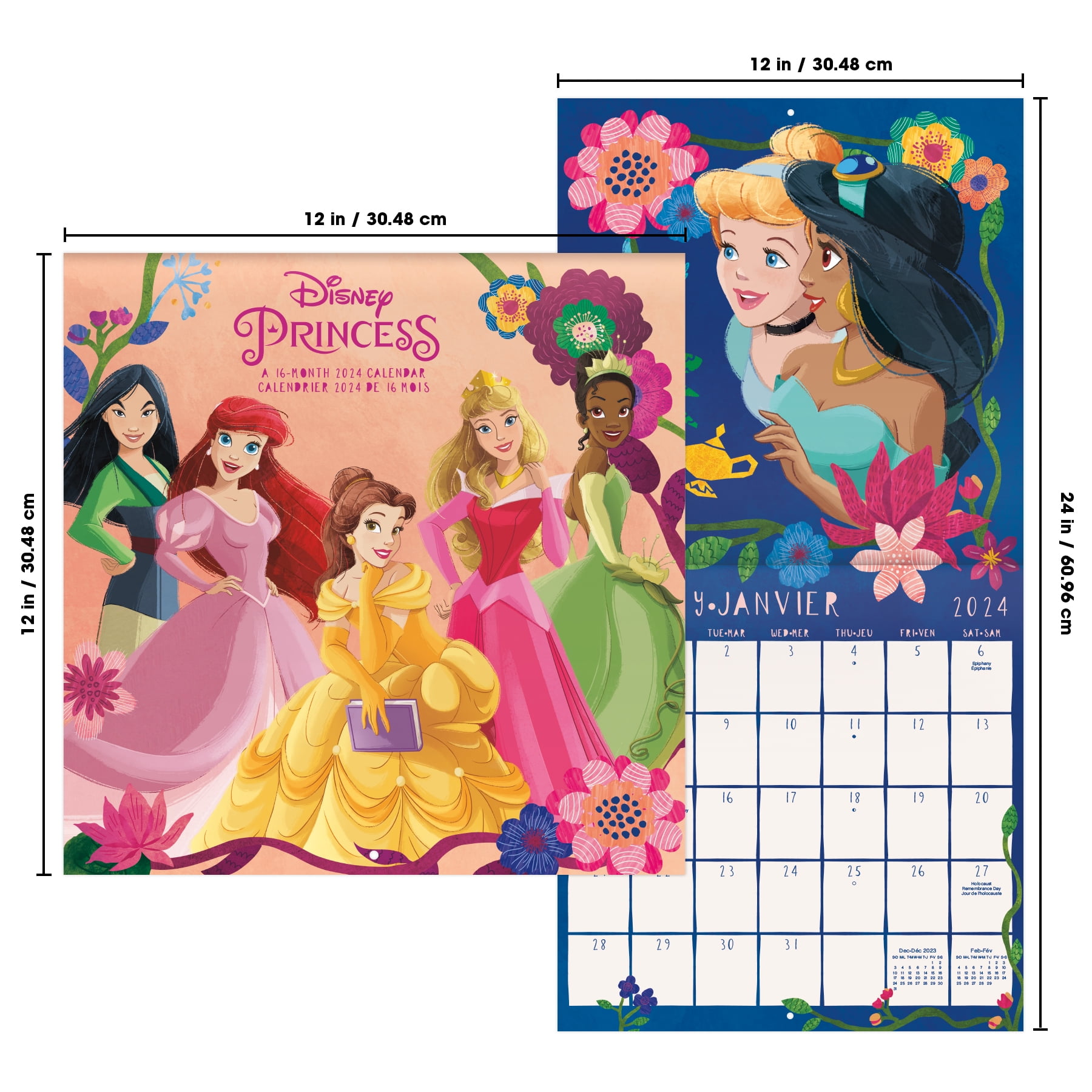 Trends International 2024 Disney Frozen Wall Calendar & Push Pins