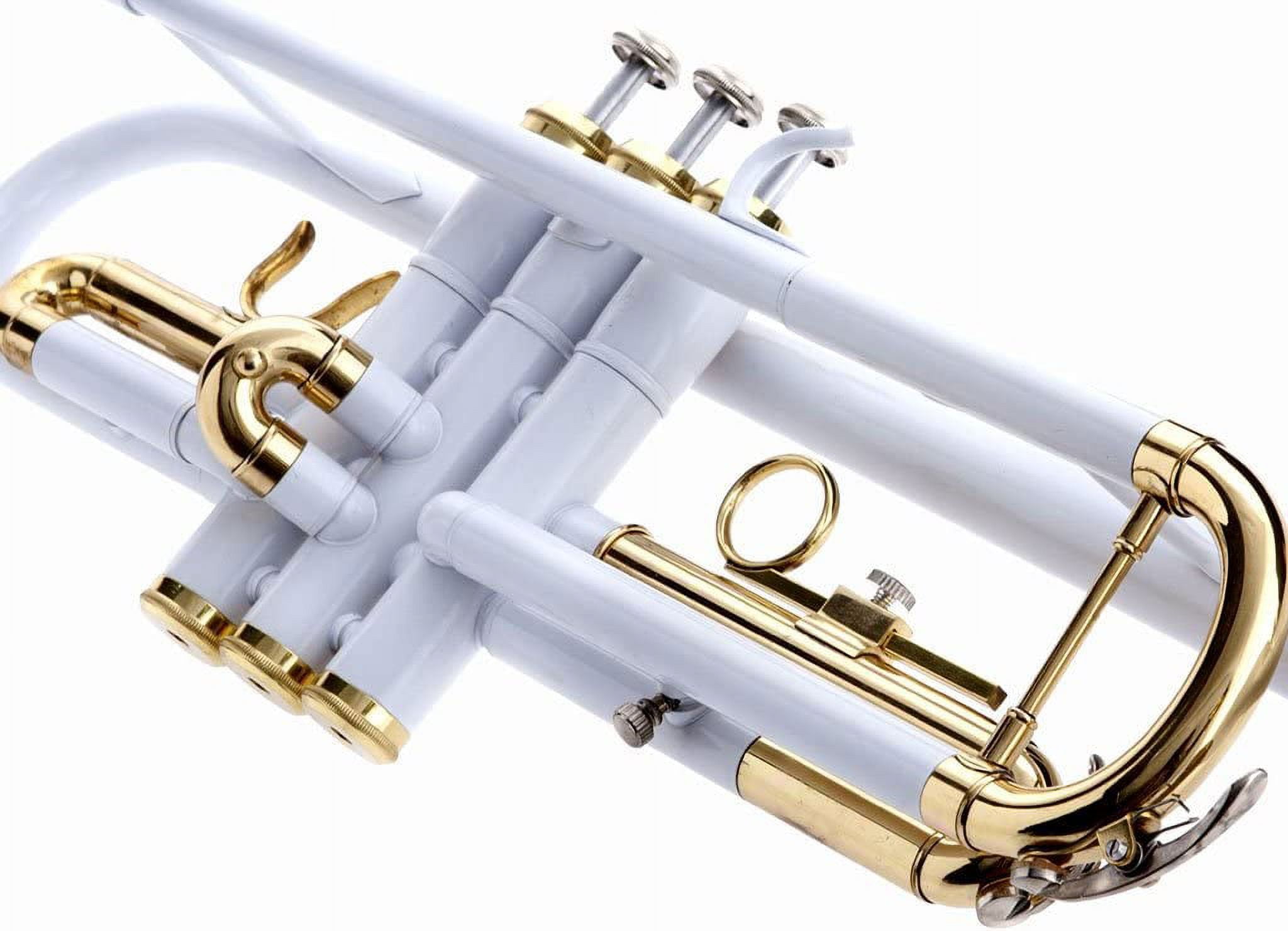 Hawk WD-T314-WH Bb Trumpet with Case and Mouthpiece, White