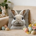 thumbnail image 4 of HuiXinOu Easter Printed Pillow Cover, Bunny Faux Embroidery Sofa Cushion, Holiday Home Decor for Spring Living Room, 4 of 6