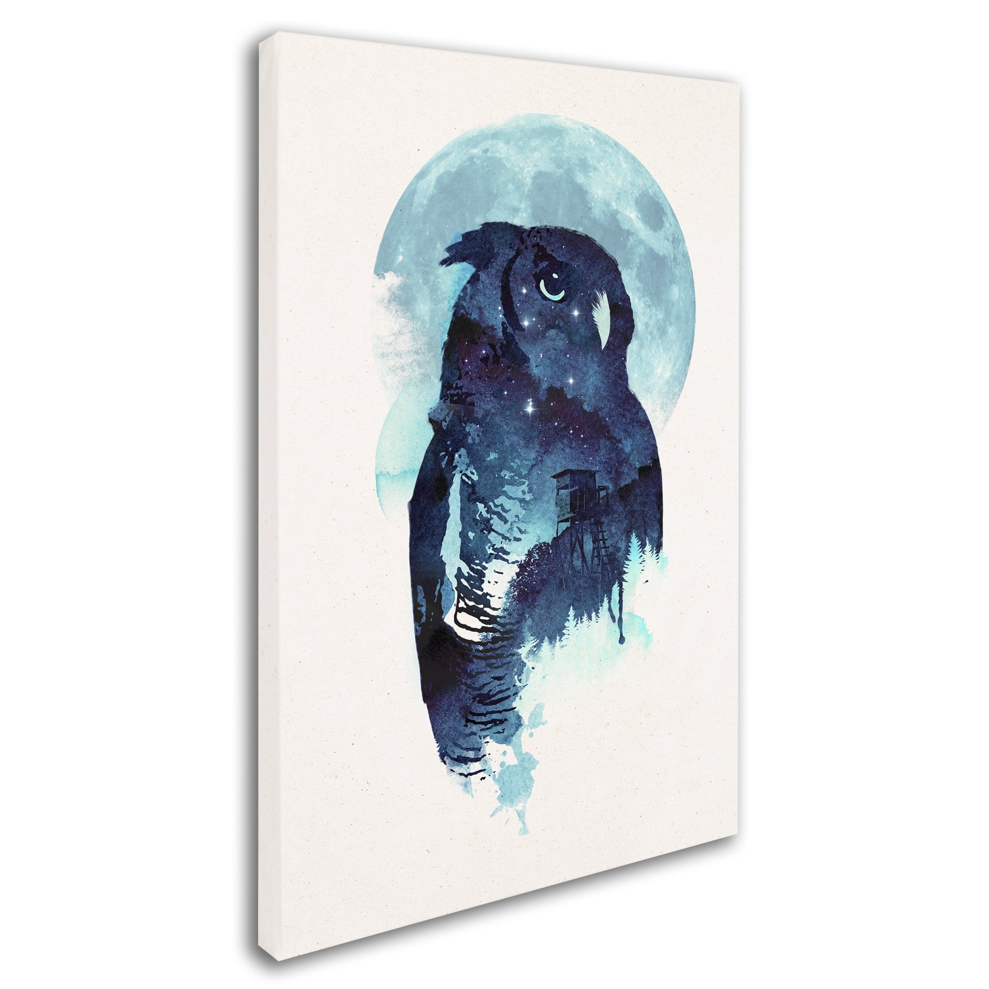 Robert Farkas 'Midnight Owl' Canvas Art 16 x 24