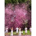 thumbnail image 5 of Confeti Rectangular Papel Metálico De Color Para Revelación, 5 of 5