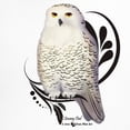 thumbnail image 3 of CafePress - Snowy Owl Maternity T Shirt - Cotton Maternity T-shirt, Cute & Funny Pregnancy Tee, 3 of 4