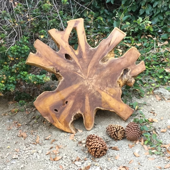 Premium Natural Teak Wood Slab Table Top Live Edge DIY for Coffee Side End Tab Rustic