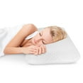 BioPEDIC Gel Overlay Memory Foam Pillow