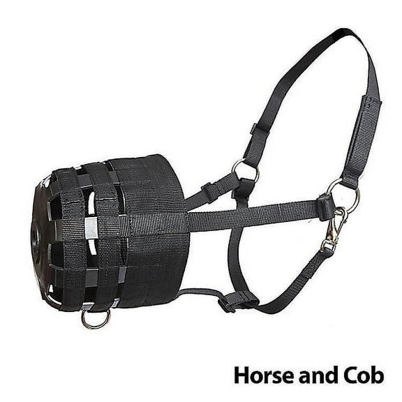 Economy Nylon Halter Grazing Muzzle Pony