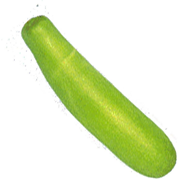 Gourd Seeds, Bottle - Calabash Long - 4 g Packet ~100 Seeds - Non-GMO, Heirloom - Vegetable Garden