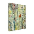 thumbnail image 3 of Trademark Fine Art Sylvie Demers Alpha Canvas Wall Art - 18x24, 3 of 5