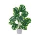 thumbnail image 2 of Artificial Monstera Deliciosa Bonsai Indoor Artificial Plants Desktop Ornament Suitable For Home Decoration In Living Rooms Offices And Bedrooms, 2 of 6