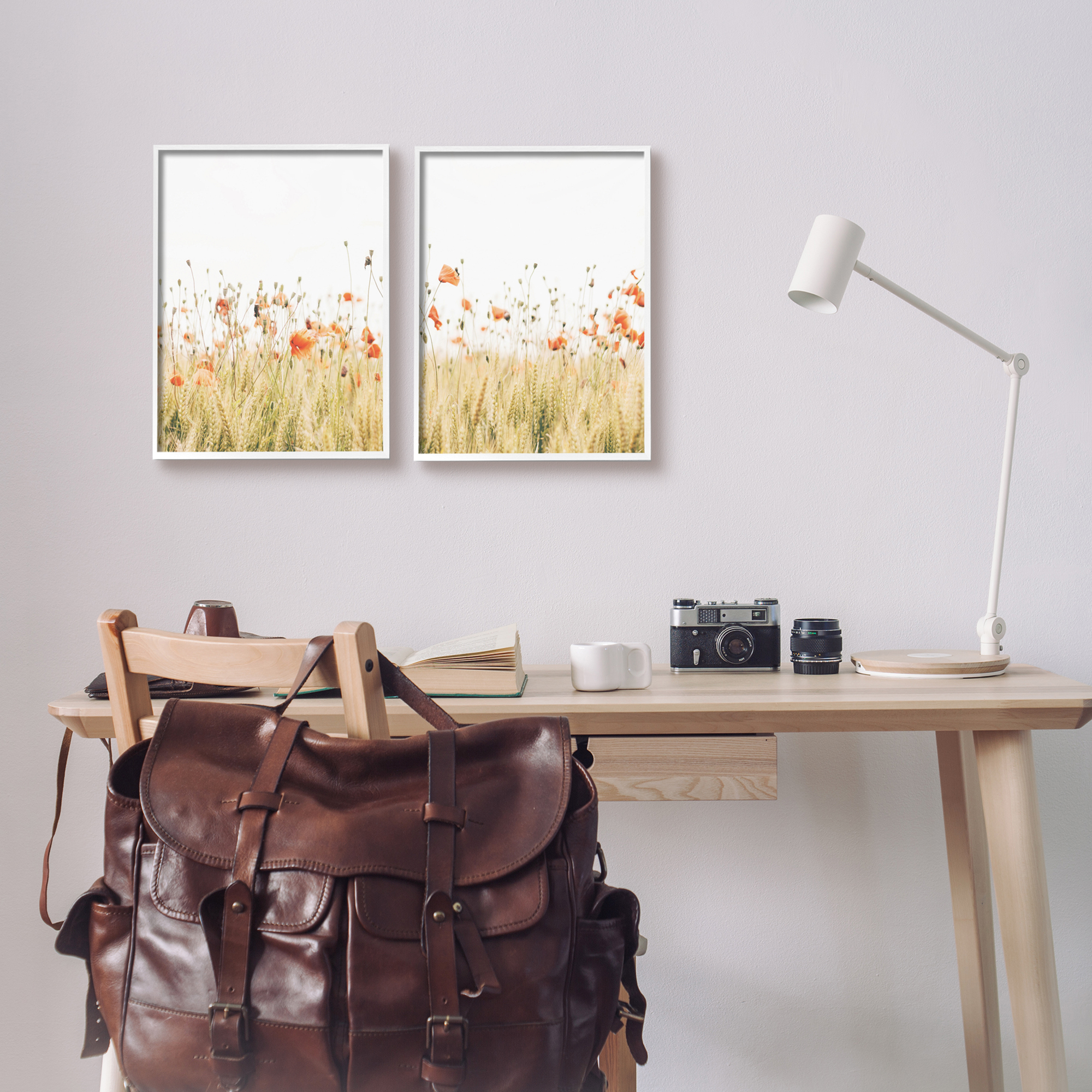Stupell Industries Rural Poppy Field Landscape Photography White Framed Art Print Wall Art, 11 x 14