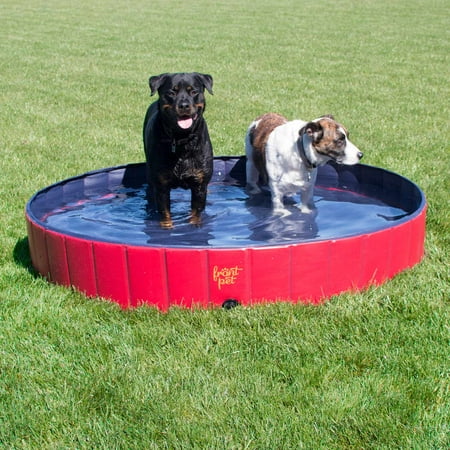 FrontPet Foldable Extra Large Dog Pet Pool Bathing Tub (60 Inch X 12