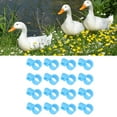 thumbnail image 3 of 100Pcs Chicken Leg Bands Buckle Design Easy Installation TPU Material Chicken Identification Bands Chicken Leg Rings for Ducks Chicks [small], 3 of 9