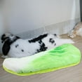 thumbnail image 4 of DRAFIDEEP Guinea Pig Accessories Light Green Thick Soft Pet Blanket Mat for Small Pet Winter Use, 4 of 7