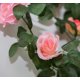 thumbnail image 2 of Paquete de 2 plantas de flores artificiales de corona de vid de rosa falsa para hotel, boda, fiesta en casa, jardín, artesanía, arte deco rosa (16 pies) Zhivalor SNFLD1712, 2 of 4