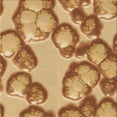 thumbnail image 1 of Ahgly Company Tapis de Zone Carré Orange Lavable en Machine, 7 Pieds Carré, 1 of 7