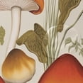 thumbnail image 4 of FREEAMG Mushrooms Shower Curtain Waterproof Washable Shower Bath Curtain 60x72 Inch Bathroom Decoration Fabric Shower Curtains with 12 Hooks, 4 of 6